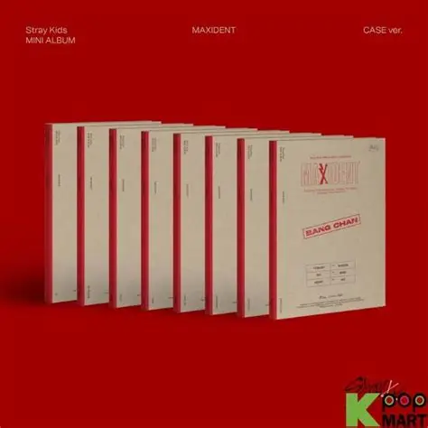 maxident case ver stray kids