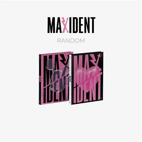 maxident stray kids